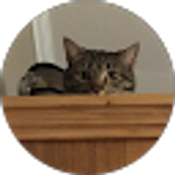 Profile photo of Logan Kuliczkowski