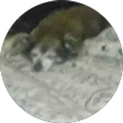 Profile photo of Ivan Orozco