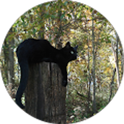 Profile photo of Rene Rodems