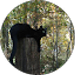 Profile photo of Rene Rodems
