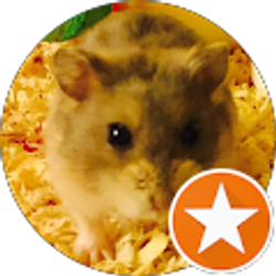 Profile photo of I M