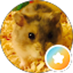 Profile photo of I M