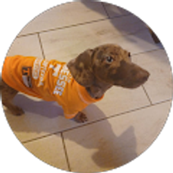 Profile photo of Sabrina Balogh