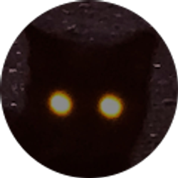 Profile photo of Greg Sylwester