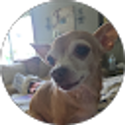 Profile photo of Michelle Marsala