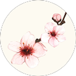 Profile photo of Chrissie