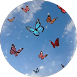 Profile photo of Mishala Izzard