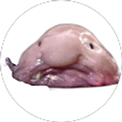 Profile photo of Colin Vanausdoll