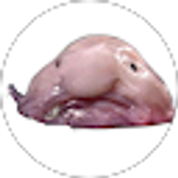 Profile photo of Colin Vanausdoll