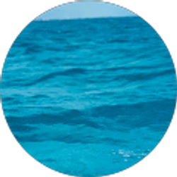 Profile photo of Jill Adams