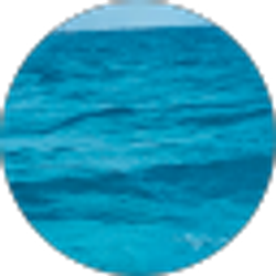 Profile photo of Jill Adams