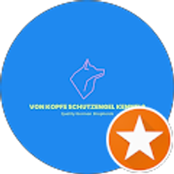 Profile photo of VON KOPFE SCHUTZENGEL KENNELS