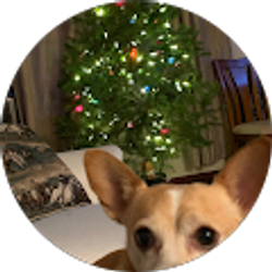 Profile photo of Elizabeth Weiss