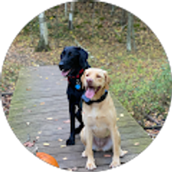 Profile photo of Tammy Hartman