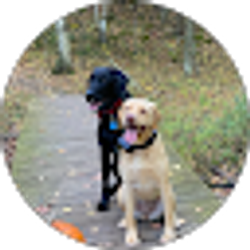 Profile photo of Tammy Hartman
