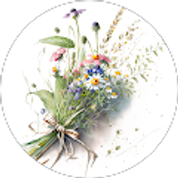 Profile photo of Debi Tarnowski