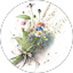 Profile photo of Debi Tarnowski