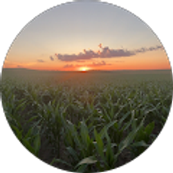 Profile photo of Brody Stenger