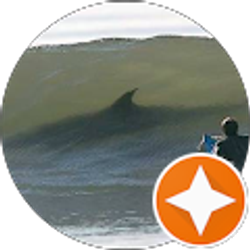 Profile photo of David Langer