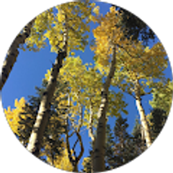 Profile photo of Miguel Perez