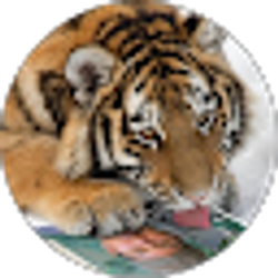 Profile photo of luis valle