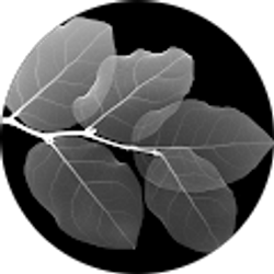 Profile photo of Mark Rodriguez