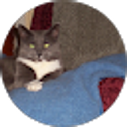 Profile photo of Cheryl H