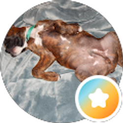 Profile photo of FirstName LastName