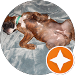 Profile photo of FirstName LastName