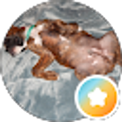 Profile photo of FirstName LastName