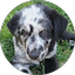 Profile photo of Mira Milb