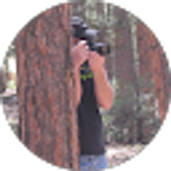 Profile photo of Rob Fallows