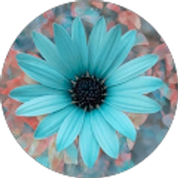 Profile photo of Kendra D