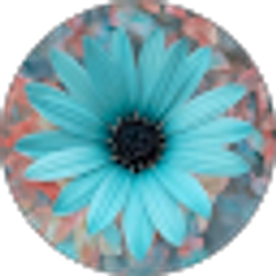 Profile photo of Kendra D