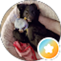 Profile photo of Anna Shepard
