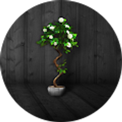 Profile photo of Monique MoMo