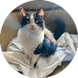 Profile photo of Jesse Zingrich