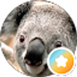 Profile photo of JoAnne Ackerman