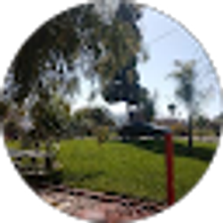 Profile photo of otilio guzman