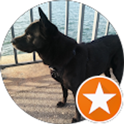 Profile photo of Linda M