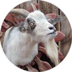 Profile photo of Anthony DeAngelis