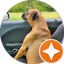 Profile photo of LAKRECIA DIBBLES