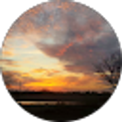 Profile photo of Alyssa Winner