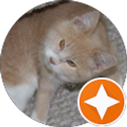 Profile photo of W Lee