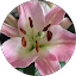 Profile photo of Ashley Koziarski