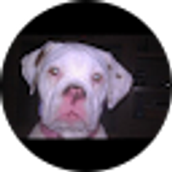 Profile photo of Jamie Cragle