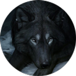 Profile photo of Andi Sanchez