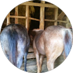 Profile photo of Kassidy Kee