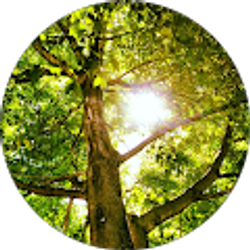 Profile photo of Gregory Wilson