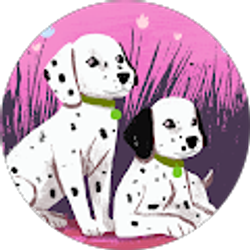 Profile photo of Mary Kilgore